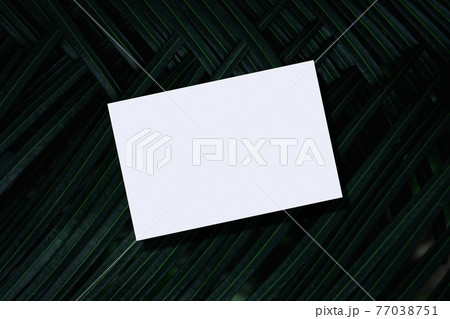 Closeup of empty white paper mockup on green palm leaf background. Closeup of empty white paper mockup on green palm leaf background. 77038751