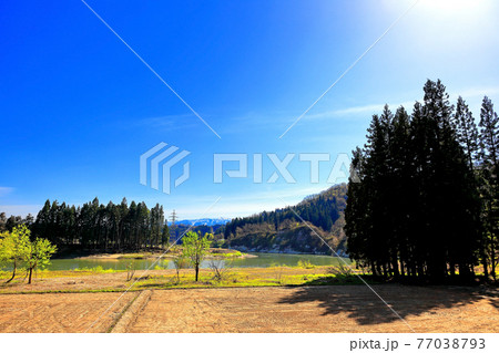 山形県 最上川岸辺の春 山形県 最上川岸辺の春 77038793