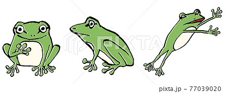 アマガエルのイラストポーズセット 77039020