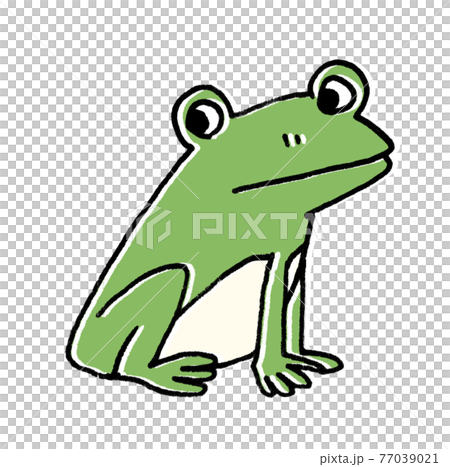 一隻臉模糊的青蛙的插圖 一隻臉模糊的青蛙的插圖 77039021