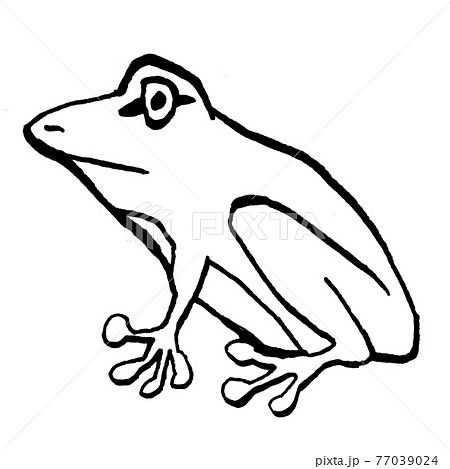 横向きのアマガエルのイラスト線画 77039024