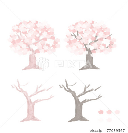 桜の木と幹と花のパーツのイラスト素材