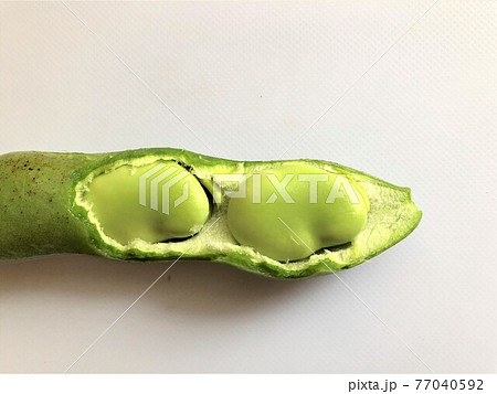 鞘から覗いたそら豆のアップ 鞘から覗いたそら豆のアップ 77040592