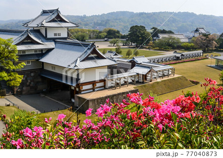 ツツジ咲く金沢城公園の春景色 77040873