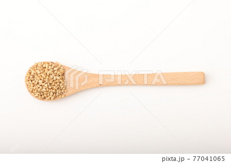 白煎り胡麻 白煎り胡麻 77041065