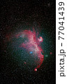カモメ星雲 77041439