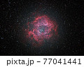 バラ星雲 77041441