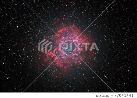 バラ星雲 77041441