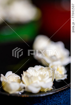 水をはったお猪口の上の木香薔薇 77041507