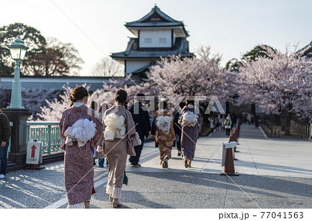 金沢城公園の桜景色を楽しむ花見客 77041563