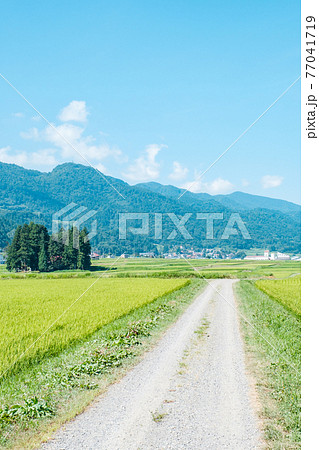 夏の田舎風景 夏の田舎風景 77041719