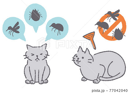 寄生虫予防する猫のイラスト 77042040