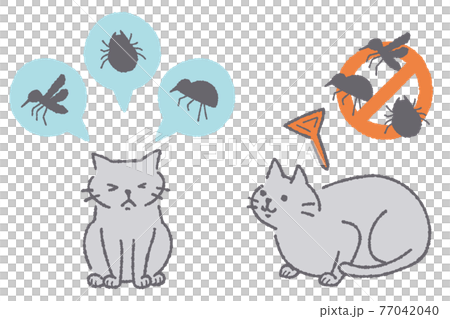 寄生虫予防する猫のイラスト 77042040