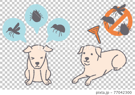 Illustration of a dog to prevent parasites Illustration of a dog to prevent parasites 77042300