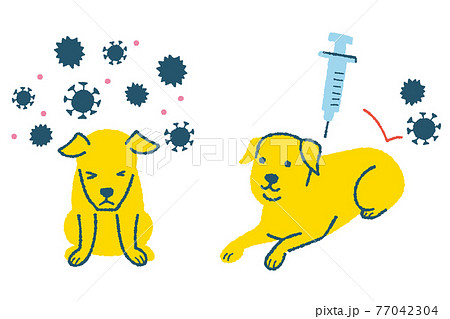 ウィルスに感染する犬と注射をする犬のイラストのイラスト素材