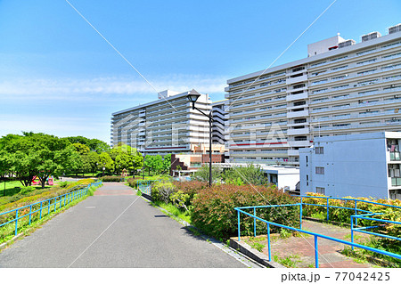 東白髭公園(東京都墨田区)【2021.4】 77042425