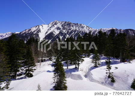 新穂高ロープウェイの展望台から見た残雪の西穂高岳と千石園地の雪の回廊 新穂高ロープウェイの展望台から見た残雪の西穂高岳と千石園地の雪の回廊 77042727