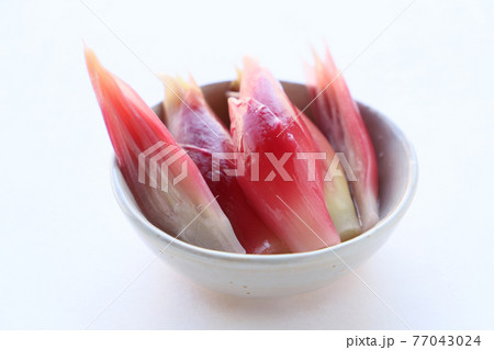 みょうがの甘酢漬け 77043024