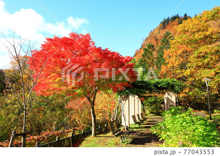 定山渓温泉　紅葉の二見公園　二見定山の道 77043553