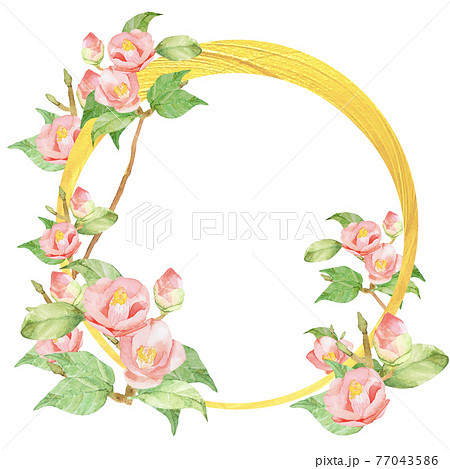 椿　バラ　水彩ゴールドフレーム　他複数バリエーションあります 77043586