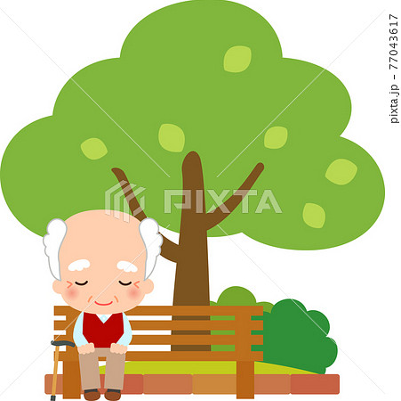木の傍のベンチに座るシニア男性 77043617