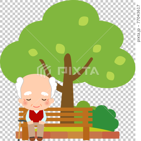 木の傍のベンチに座るシニア男性 77043617