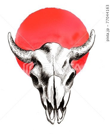 Bison skull and red sun. Ink drawing 77044163
