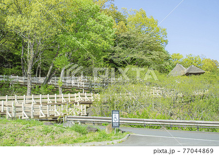 筑波山梅林　展望四阿 77044869