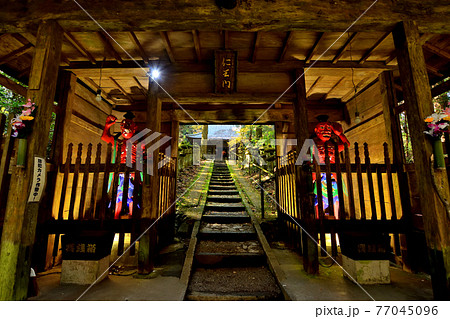 谷水薬師 谷水薬師 77045096