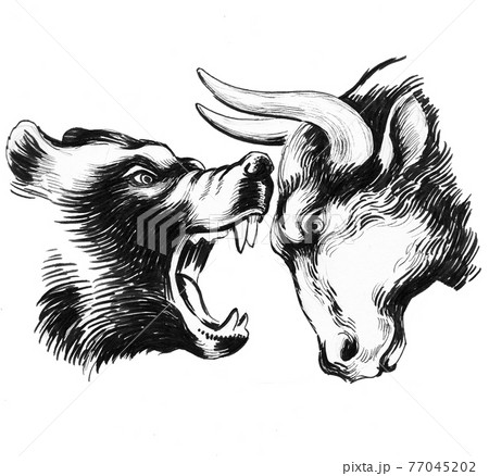 Bear ad bull heads. Ink drawing 77045202