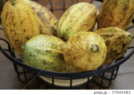 Cocoa fruits bowl on table 77045493
