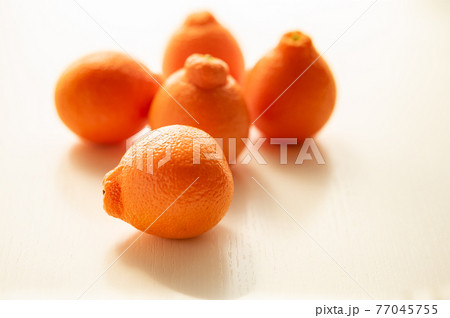 フロリダ州生まれミネオラオレンジ 77045755