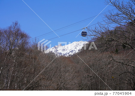 鍋平高原から見た新穂高ロープウェイと槍ヶ岳・横構図 77045904
