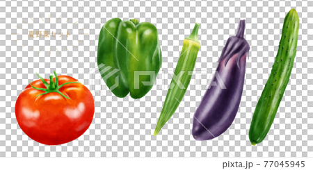 水彩イラスト 夏野菜セット 77045945