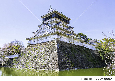 春の美しい小倉城 春の美しい小倉城 77046062