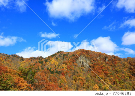 秋の定山渓 青空と紅葉 秋の定山渓 青空と紅葉 77046295