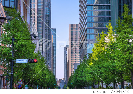 日本の東京都市景観　東京国際フォーラム西の交差点から丸の内や大手町のオフィス街を望む 77046310