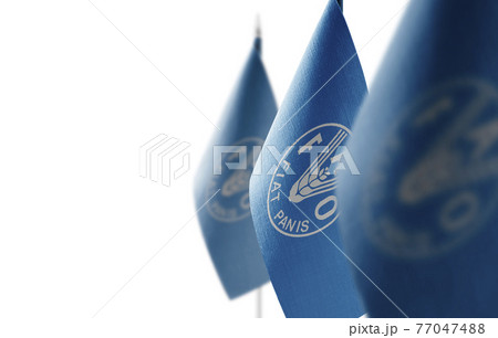 Set of Food and agriculture organization national flags on a white background 77047488