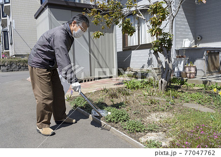 ゴミ拾いをするシニア男性 77047762