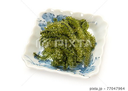 沖縄、宮古島の海ぶどう 77047964