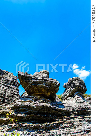 七ツ釜鍾乳洞の奇岩　化石の森　【長崎県西海市】 77048217