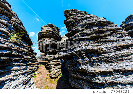 七ツ釜鍾乳洞の奇岩　化石の森　【長崎県西海市】 77048221