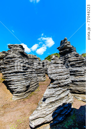 七ツ釜鍾乳洞の奇岩　化石の森　【長崎県西海市】 77048223