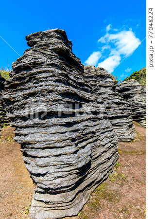 七ツ釜鍾乳洞の奇岩　化石の森　【長崎県西海市】 77048224