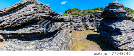 七ツ釜鍾乳洞の奇岩　化石の森　パノラマ　【長崎県西海市】 77048240