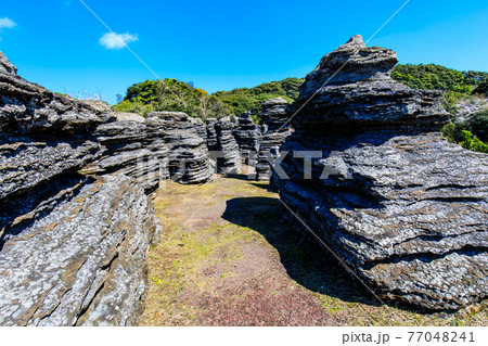 七ツ釜鍾乳洞の奇岩　化石の森　【長崎県西海市】 77048241
