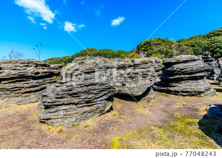 七ツ釜鍾乳洞の奇岩　化石の森　【長崎県西海市】 77048243