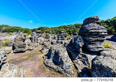 七ツ釜鍾乳洞の奇岩　化石の森　【長崎県西海市】 77048248