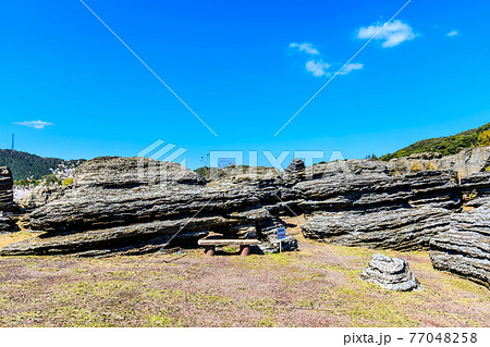 七ツ釜鍾乳洞の奇岩　化石の森　【長崎県西海市】 77048258
