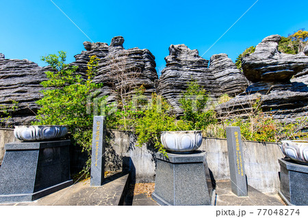 七ツ釜鍾乳洞の奇岩　化石の森　【長崎県西海市】 77048274
